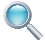 search engine optimization magnify